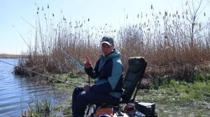 Поклёвки карася весной на червя, тут ЖОР