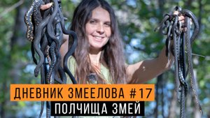 ПОЛЧИЩА змей: ужи или ГАДЮКИ? — Дневник змеелова #17 / Змеелов - ученый