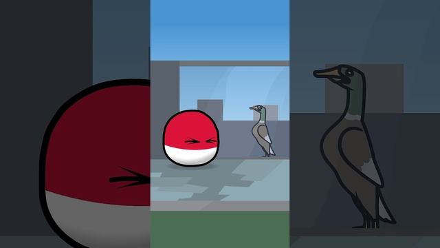 Polish Zoo | #countryballs #artsanimations #animation