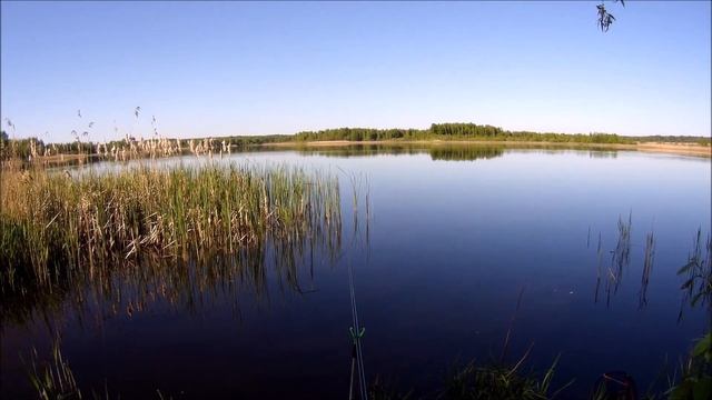 Рыбалка на красивейшем озере. Беларусь 2024. смотреть онлайн