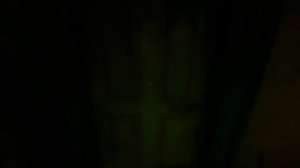 The Cursed Forest - Черная бабайка!