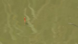 Рыбалка на МАХ рыба в этом канале есть