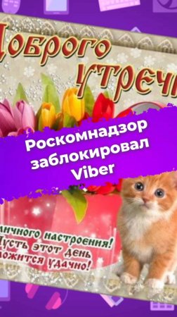 Роскомнадзор заблокировал Viber #Viber #РКН #роскомнадзор #закон #РФ #вайбер #блокировка #ixbt