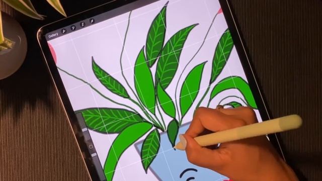 Sketching lily and snake plant in romance - Procreate drawing and animation