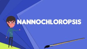 What is Nannochloropsis? Explain Nannochloropsis, Define Nannochloropsis, Meaning of Nannochloropsi
