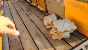 Жара, июль. Стоит ли опылять подсолнух?