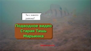 Подводное видео Старая Тишь и Марьинка