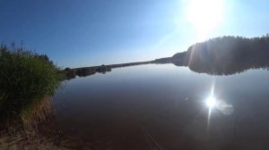 Щука на платнике. Рыбалка с сыном