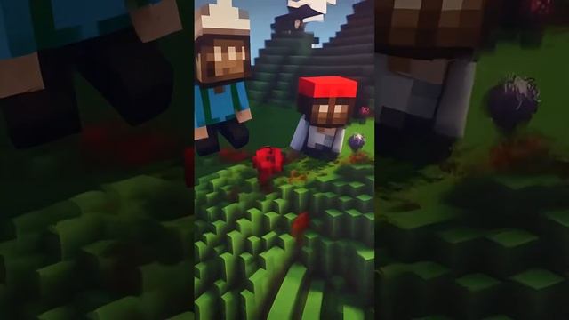 Я грибочек меня не видно  #мем #юмор #майнкрафт #minecraft #мемы