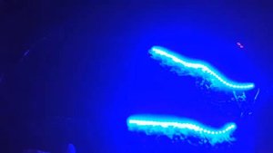 Colorful x1 led music controller with strip 5050 Rgb Smd 2811