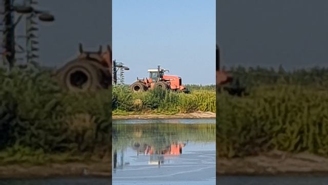 A tractor goes to a field to harrow the land