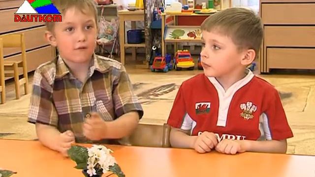 Размышлялки о насекомых 23.05.13