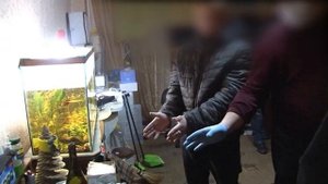 Курская полиция прикрыла межрегиональную ОПГ из 17 наркоторговцев