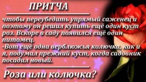 Притча Роза или колючка? Мудрая и поучительная притча. Пламя мудрости.