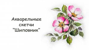 Как нарисовать цветы Шиповника акварелью / Курс "Акварельные скетчи для начинающих" от more-art.ru