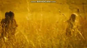 Columbia Pictures/Focus Features Logos (2008)