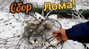 Собираю металлолом, нашёл медь, почистил лес от ржавчины