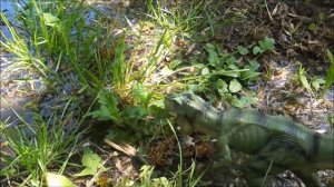 Про ДИНОЗАВРОВ!!! Тираннозавры, спинозавр, заурофоганаксы и др. СБОРНИК мультфильмов