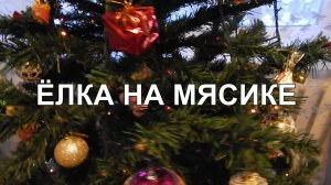 ЁЛКА НА МЯСИКЕ