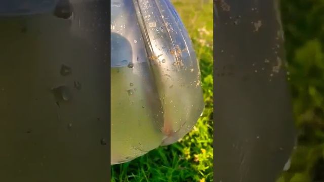 #добытчик смотреть онлайн