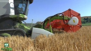 Claas Lexion 760 TT Harvesting Barley ☀️🌾