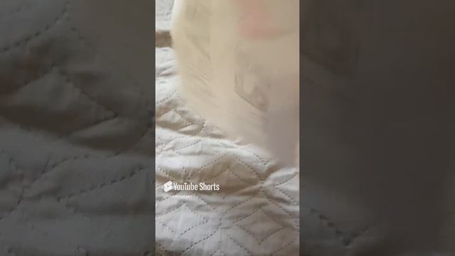 Я сделал открытку 😄 #открытка #новыйгод #2025.mp4