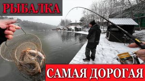 САМАЯ ДОРОГАЯ РЫБАЛКА. НОВОГОДНИЙ РЕЦЕПТ К СТОЛУ ИЗ РЫБЫ. С НОВЫМ ГОДОМ!