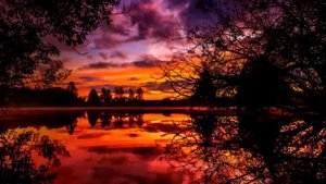 Как улучшить свою память_ ИСЛАМСКИЙ РЕЦЕПТ