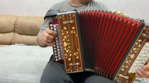 Кыр казлары