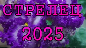 СТРЕЛЕЦ таро прогноз на 2025 год по 12 домам гороскопа.
