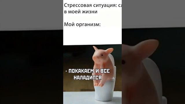 Все наладится ✨ точно станет легче  #приколы #шортс #мем #мемы