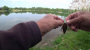 Воблеры ручной работы, пополнение и тест