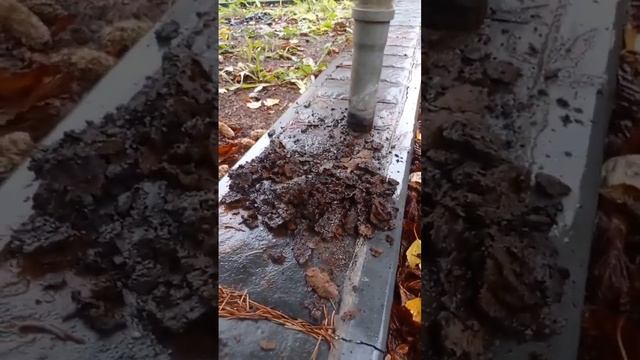 Канализация забита железом от системы водоочистки смотреть онлайн