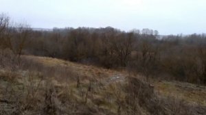 Возрожденная деревня