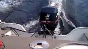 Mercury 30 hp 4 stroke