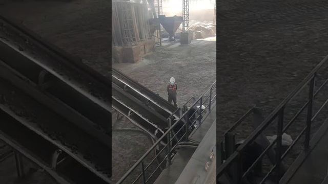 Metal Mineral sorting machine  Manganese ore sorting case IPCS18