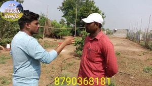 natu kolla farms in Telugu/ hen farms in Telugu