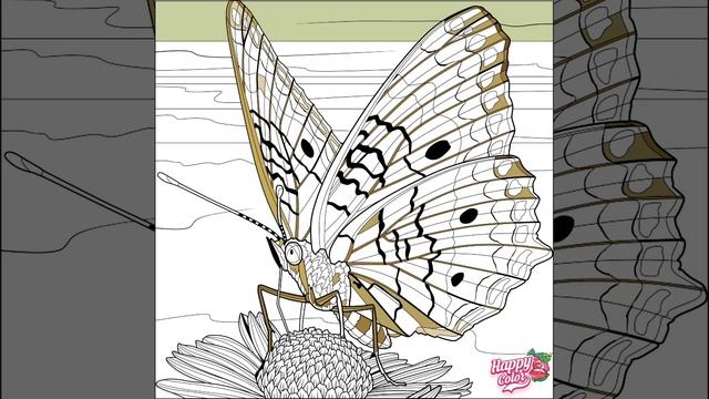 Бабочки 441-450