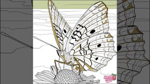 Бабочки 441-450