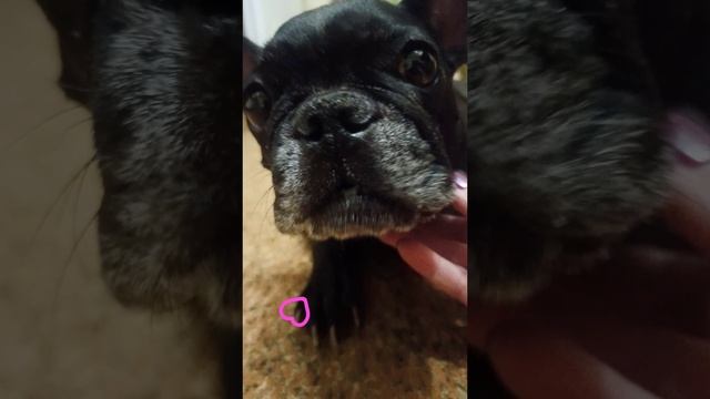 Моя любовь ❤