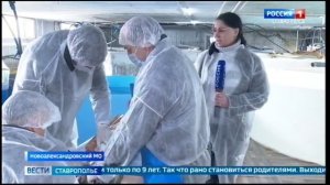 На Ставрополье начали производить черный деликатес