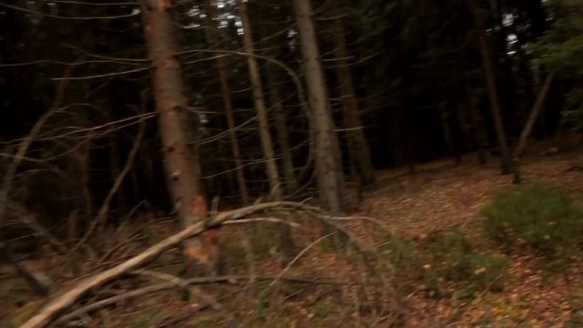 мотофото смотреть онлайн