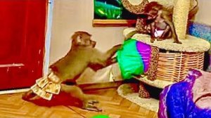 Тося+ Люся= ДРУЖБА на веки! Полная версия видео!