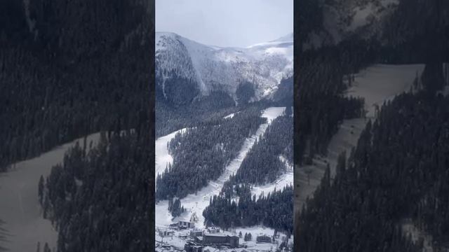 🌄 Недвижимость в горах Архыза — ваш идеальный уголок для жизни и отдыха! 🌲