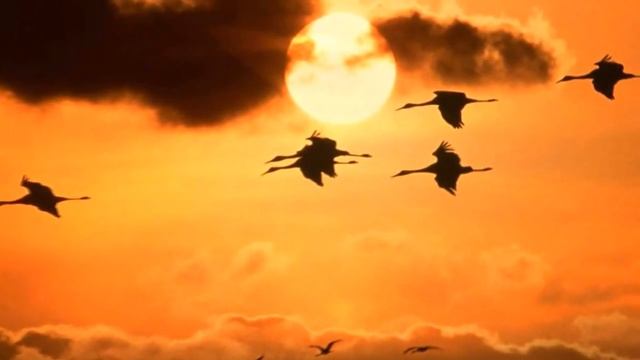 .Лев Фёдоров "Молитва". Сл. В.Ерофеевой-Тверской. Исп. А.Ракитина (вокал), Л.Фёдоров (ф-но). смотреть онлайн