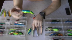 Лучшие воблеры для троллинга 5-7 метров