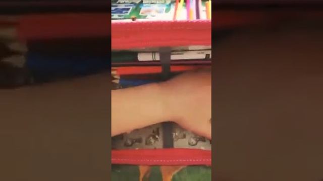 Кира собирает пенал к школе