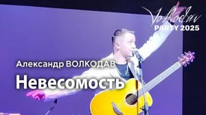 "Невесомость" Александр Волкодав - Volkodav Party 2025 Москва "Евразия" 15.12.24 #концерт #live