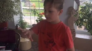 Паук крестовик