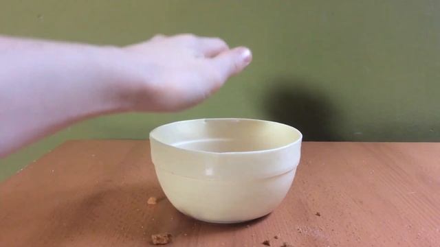 HowToBasic #3 (CZ Verze) - Jak udělat Polomáčené Sušenky!